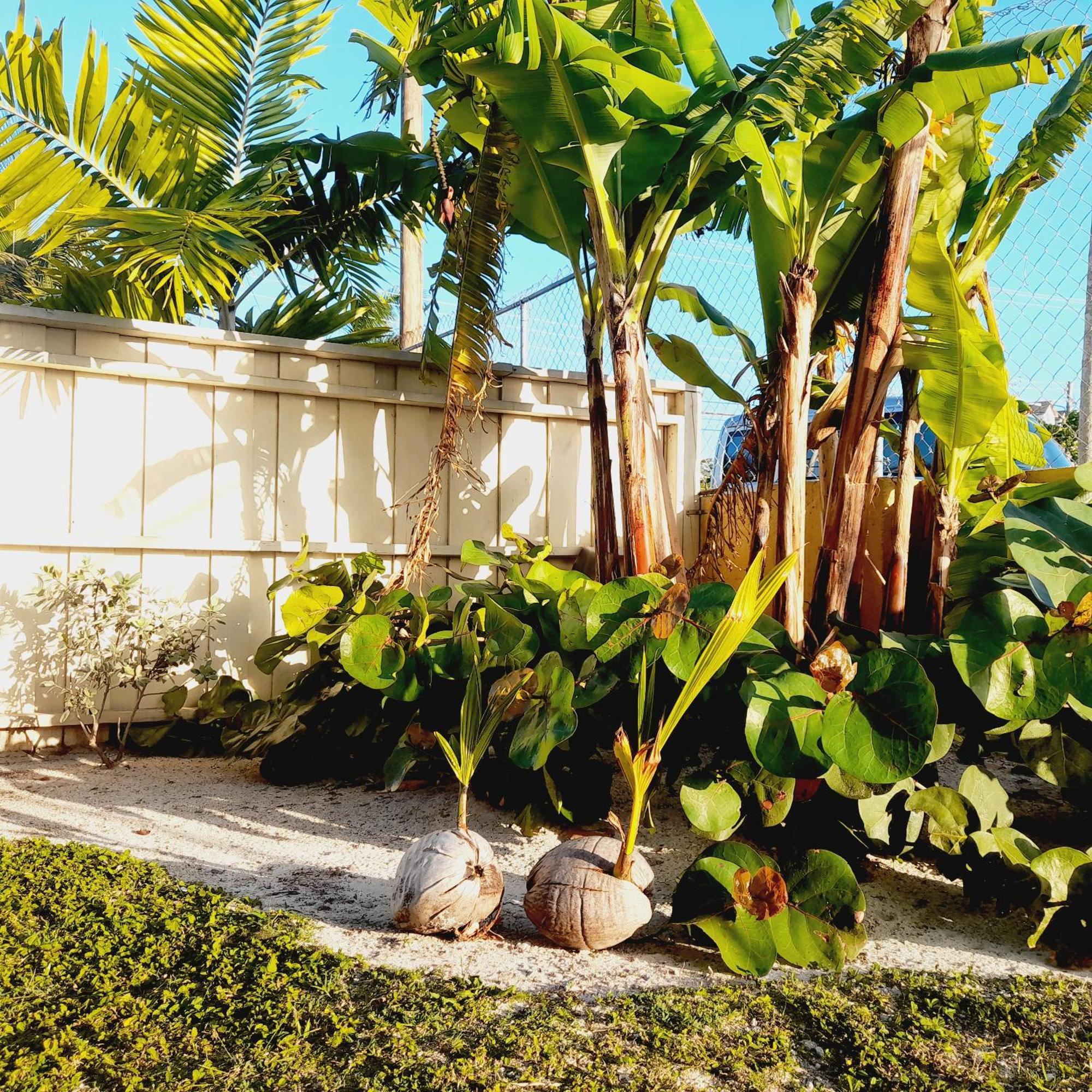 Villa By The Bay Nassau Luaran gambar